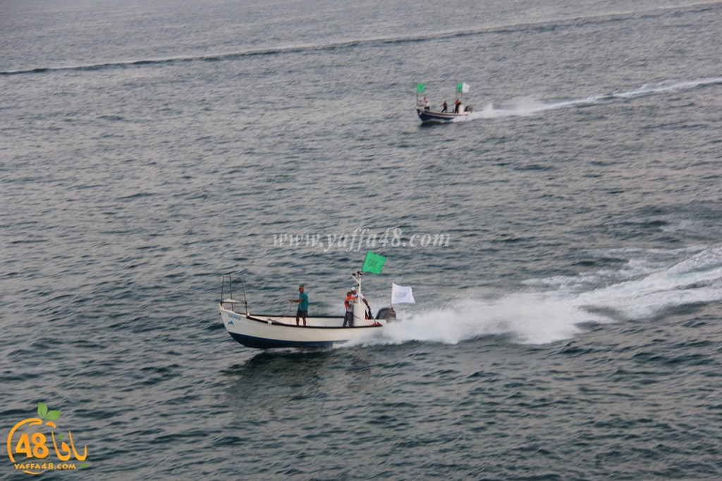 iste3rad sayaden yaffa (14).JPG